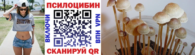 Псилоцибиновые грибы прущие грибы  Купить закладки  Сергач 